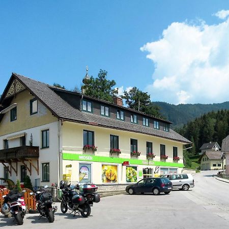 Apartment Moser - Sts270 By Interhome Stein an der Enns Екстер'єр фото